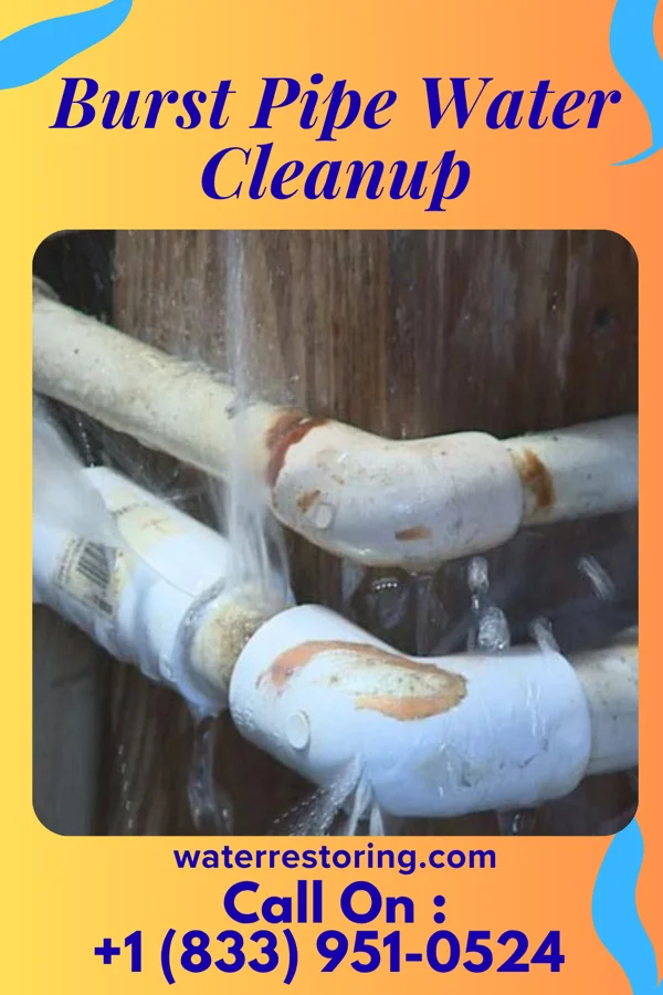 Burst Pipe Water Cleanup in Prescott, WI