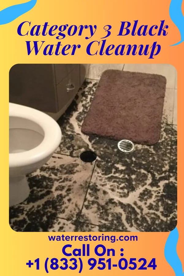 Category 3 Black Water Cleanup in Prescott, WI