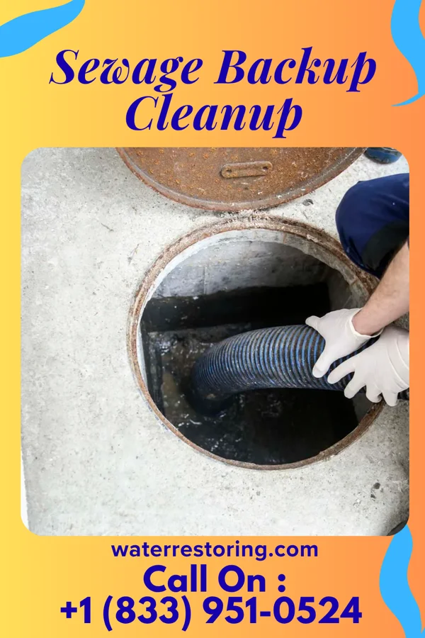 Sewage Backup Cleanup in Prescott, WI