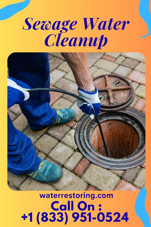 Sewage Water Cleanup in Prescott, WI