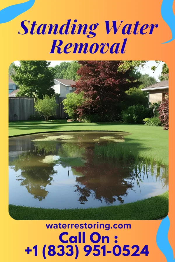 Standing Water Removal in Prescott, WI